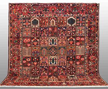 A carpet, Bakhtiari, around 342x 300.