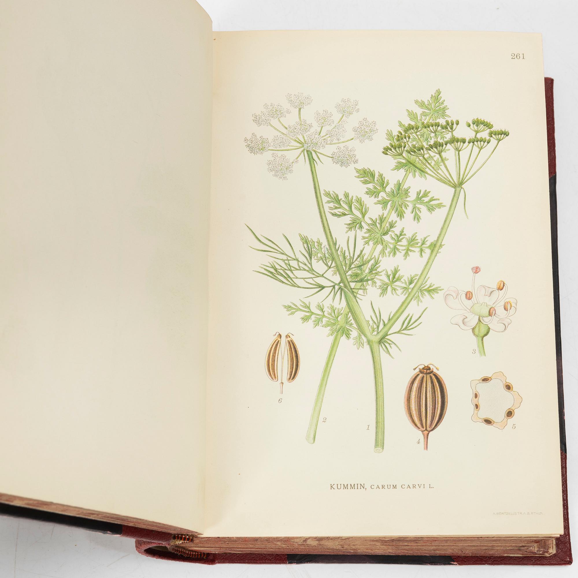 C.A.M Lindman, books, 3 volumes, "Bilder ur Nordens Flora",  Wahlström & Widstrand, 1922-1926.