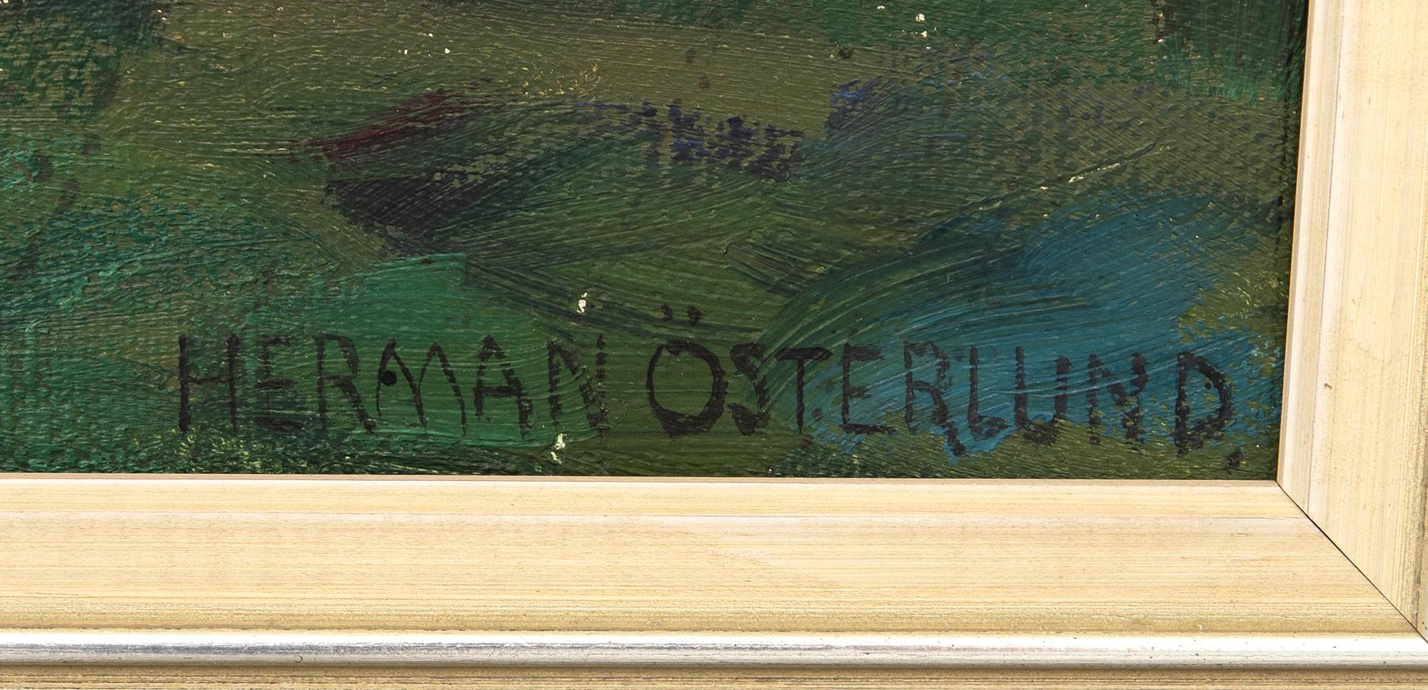 Herman Österlund, Untitled.