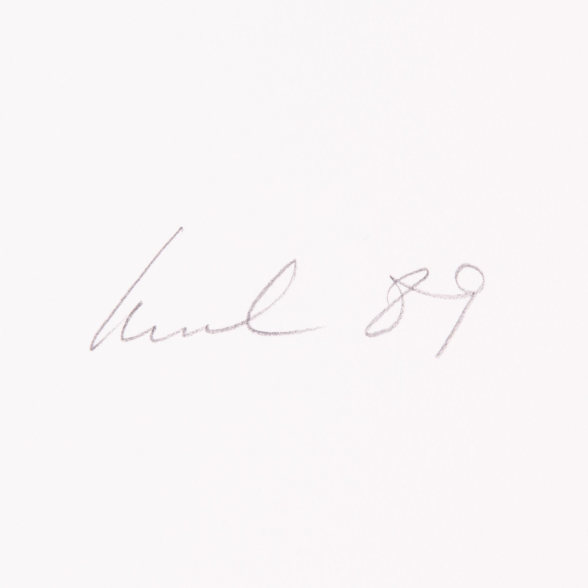 Raul Meel, "Windows and Landscape 3".