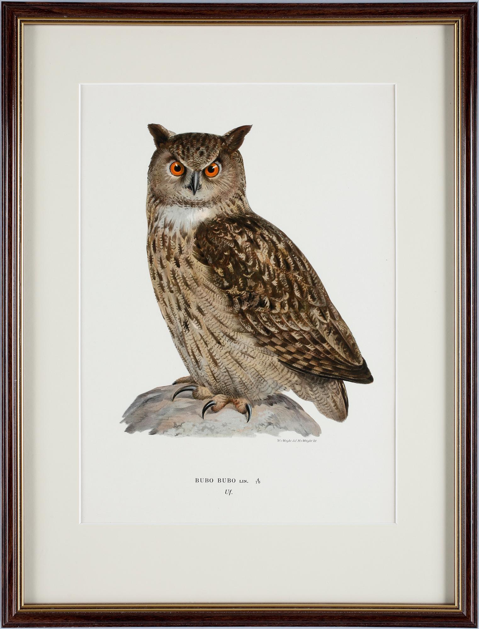 WILHELM & MAGNUS, VON WRIGHT, färglitografi, 4st, 1920.