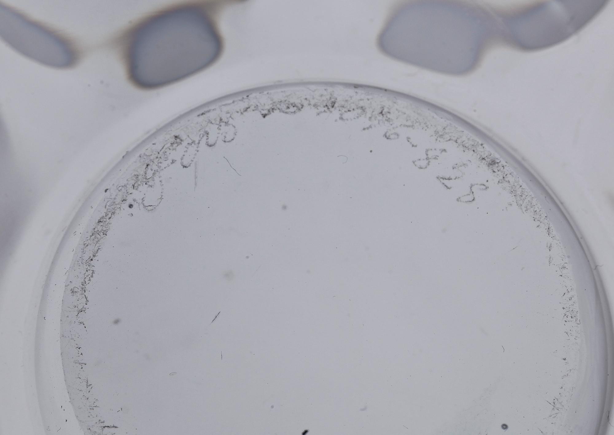 VAS samt SKÅL, glas, bl a Timo Sarpaneva, Iittala, Finland, sign o dat 55.