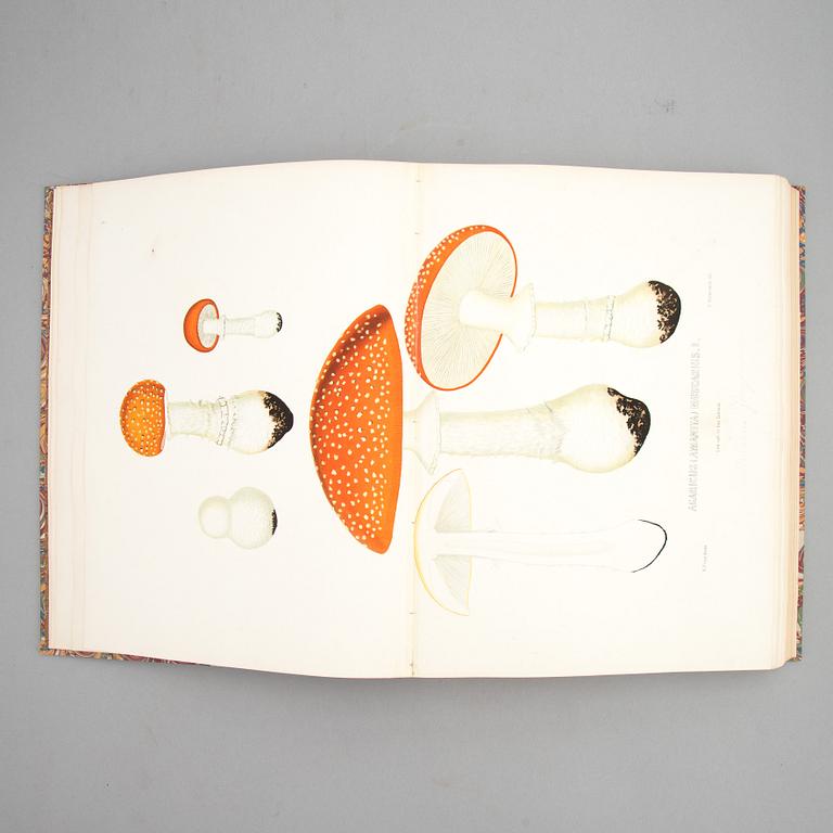 With 94 large chromolithographs of mushrooms.