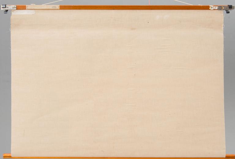 SKOLPLANSCHER, 2 st. Anatomiska motiv.