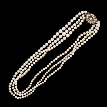 PÄRLCOLLIER, 1900-talets andra hälft.