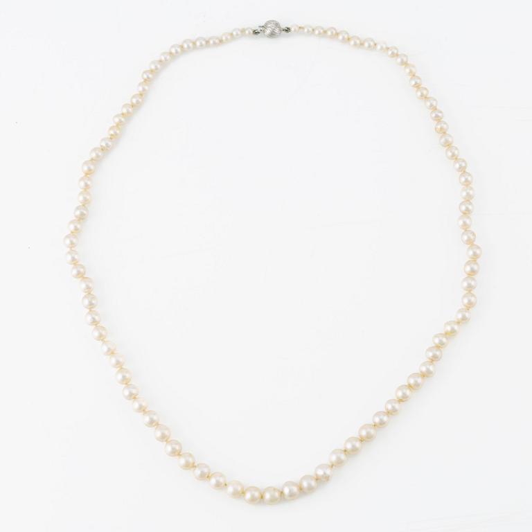 Necklace cultured pearls, clasp 18K white gold.