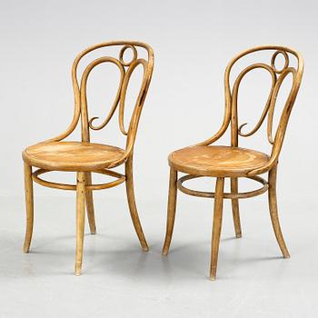STOLAR, ett par. Jacob och Josef Kohn, 1900-talets början.