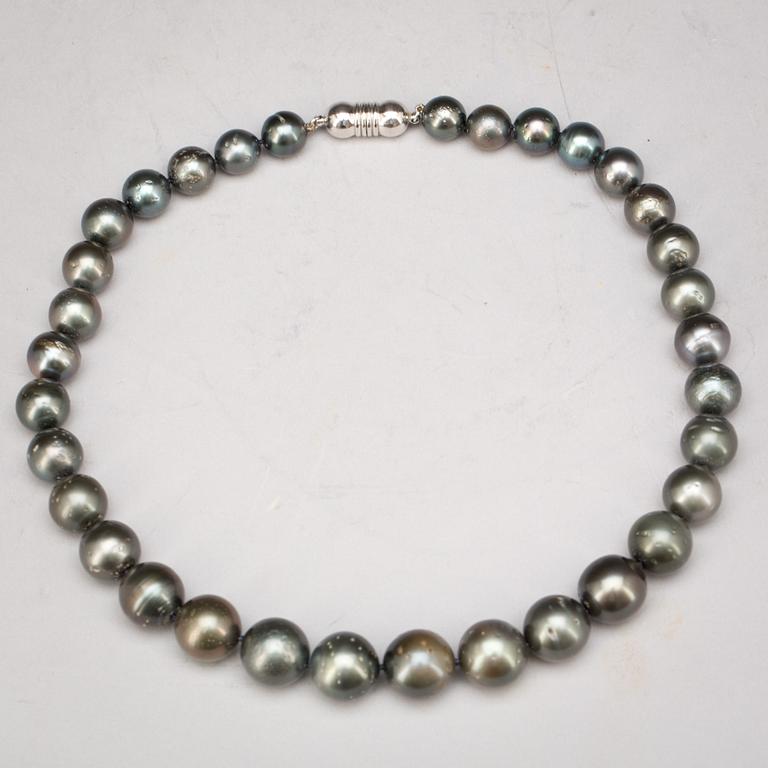 COLLIER, odlade south sea pearls. Vikt ca 80g.