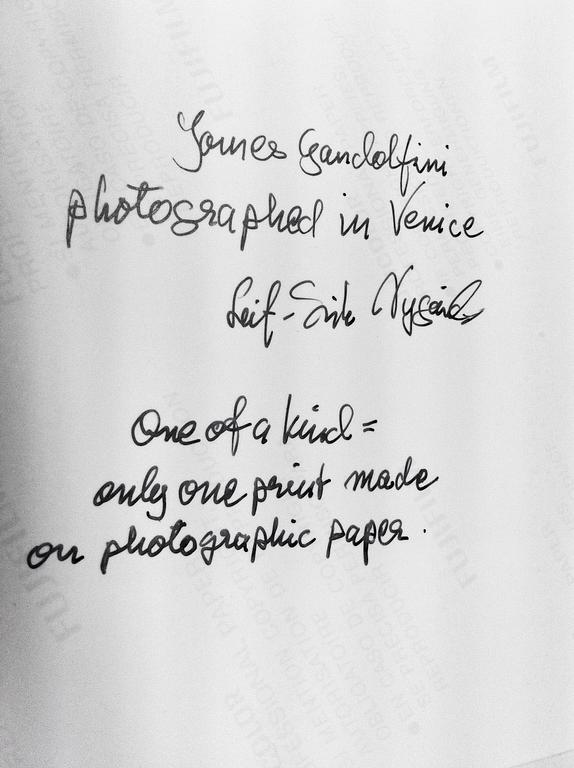 LEIF-ERIK NYGÅRDS, fotografi, one of a kind print, "James Gandolfini".