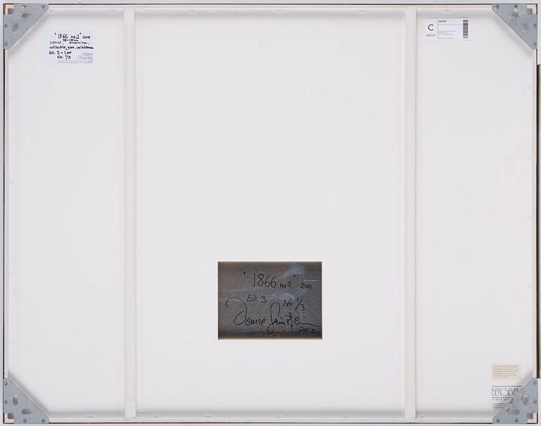Denise Grünstein, "1866 No. 2", 2014.