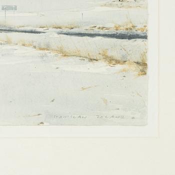 Stanislaw Zoladz, Vinterlandskap.