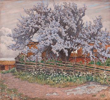827. Gustaf Fjaestad, Blooming spring trees.