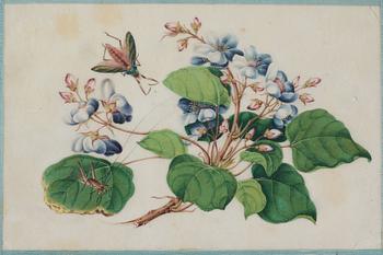 Four watercolour and ink on ricepaper paintings by unknown artist, Qing dynasty, 19th Century.