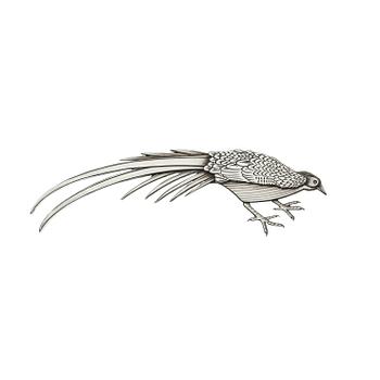 657. Wiwen Nilsson, A Wiwen Nilsson sterling brooch, Lund 1953.