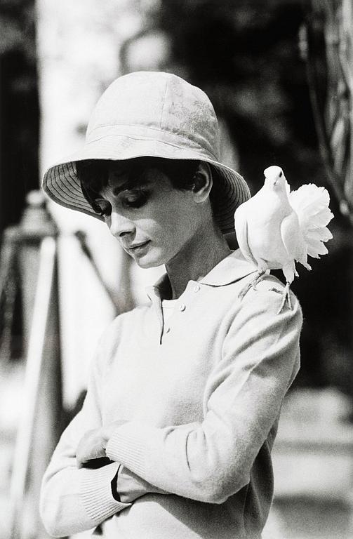 Terry O'Neill, "Audrey Hepburn with dove, St Tropez, 1967".