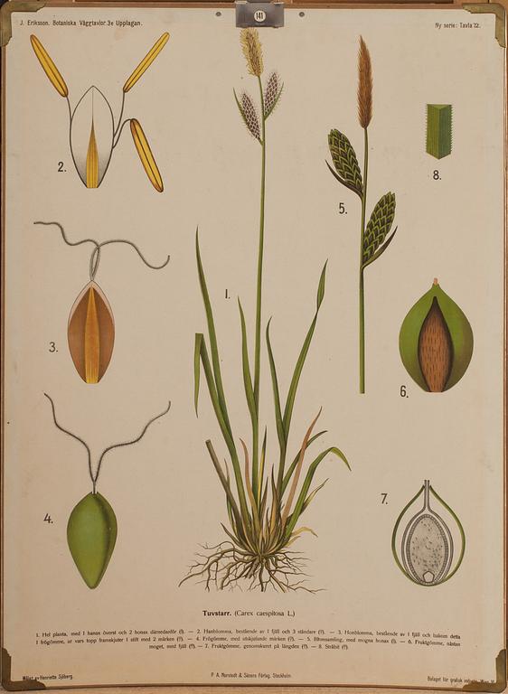 SKOLPLANSCHER, 5 st, 1900-tal.