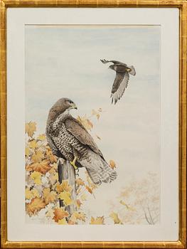 GUNNAR PETTERSSON, akvarell, signerad.