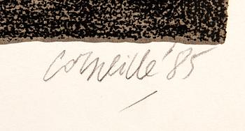 Beverloo Corneille, Birds.