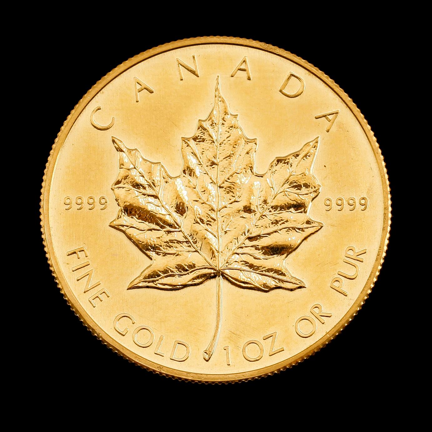 GULDMYNT, fine gold, 50 dollar, Elizabeth II, Canada, 1983. Vikt ca 31 gram.