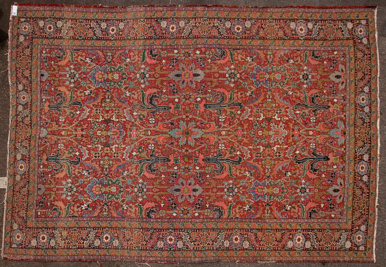 MATTA, Persisk. Ca 336x236 cm.