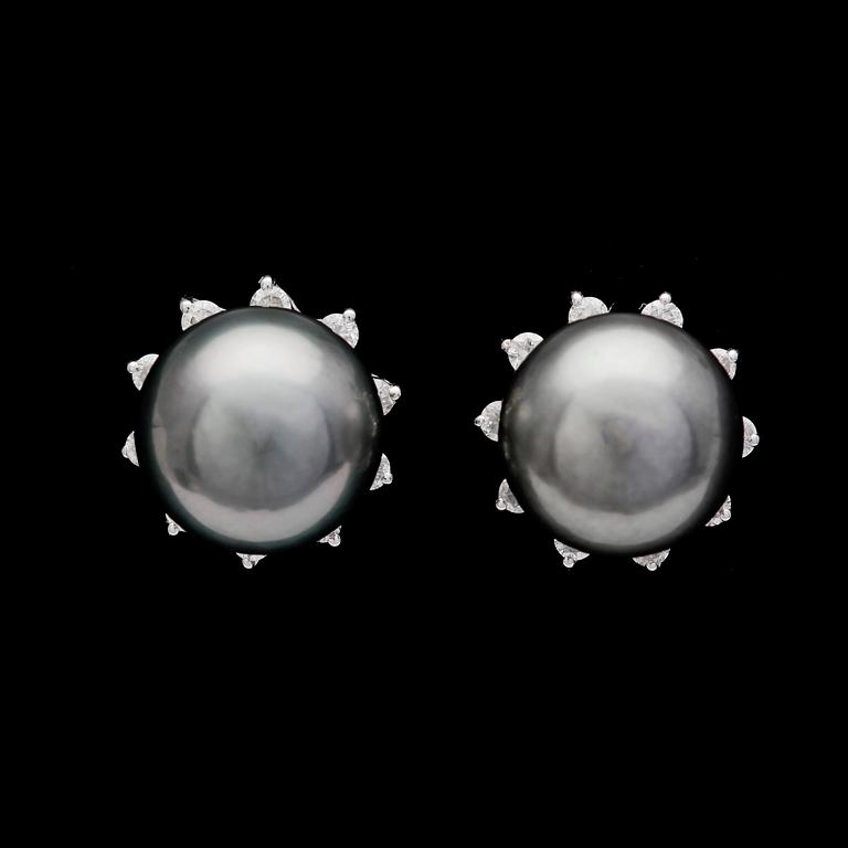ÖRHÄNGEN, odlade Tahititpärlor, ca 10,5 mm med krans av briljantslipade diamanter, tot. ca 0.45 ct.
