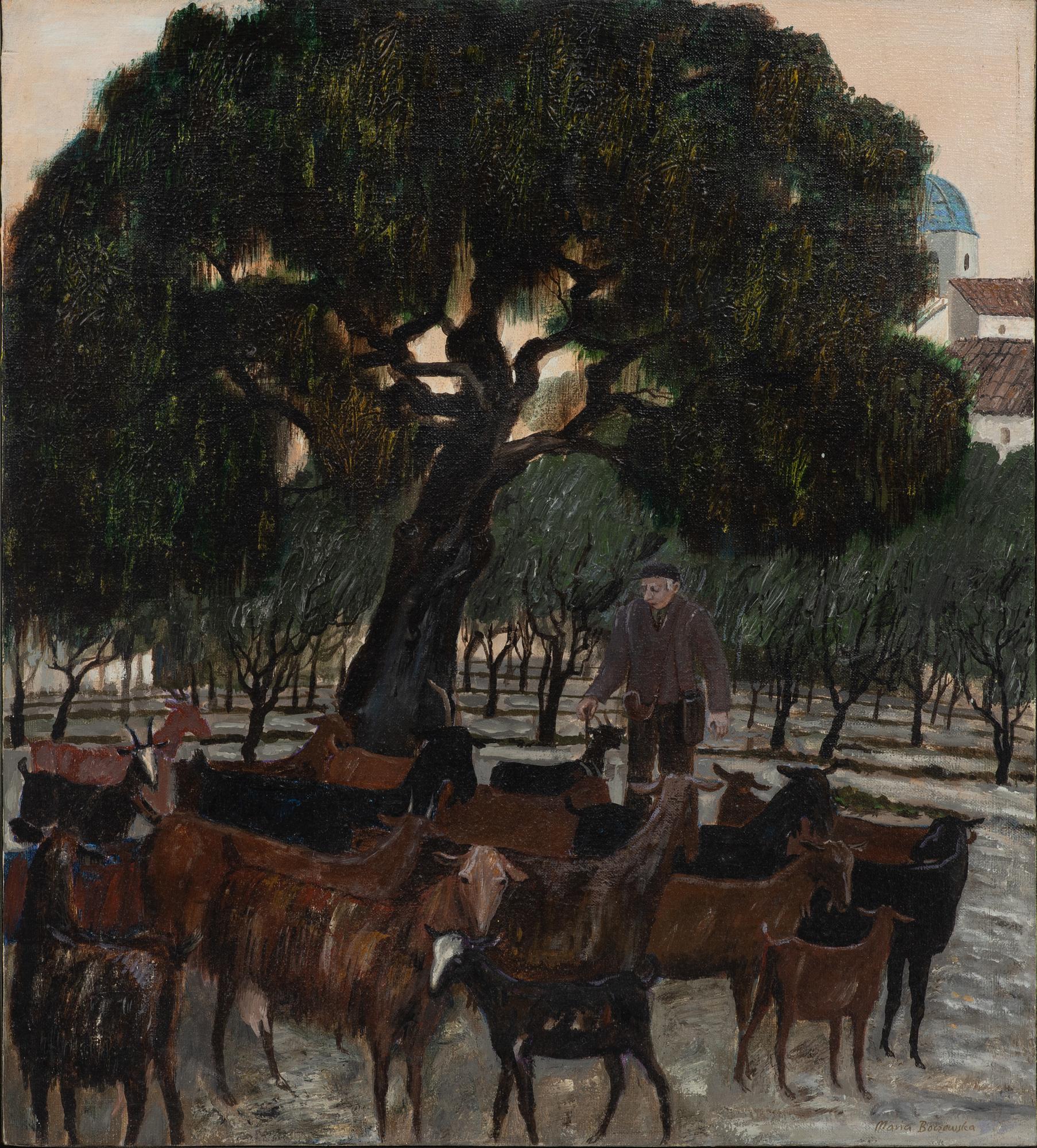 Maria Boczewska, goat farmer in the shadow.