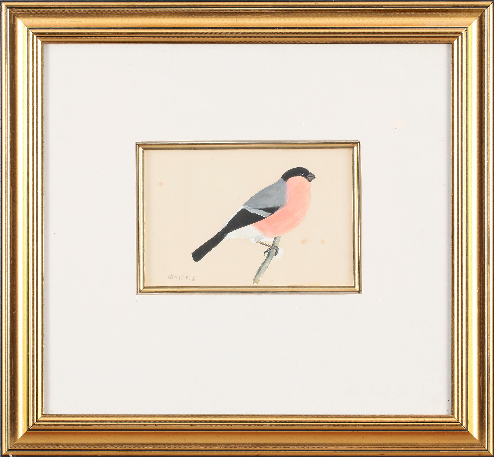 MOSSE STOOPENDAAL, akvarell, sign.