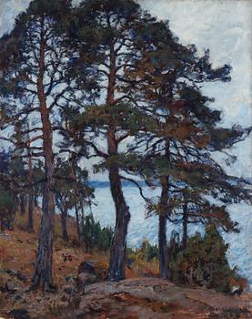 420. Gottfrid Kallstenius, Coastal landscape with pine trees.