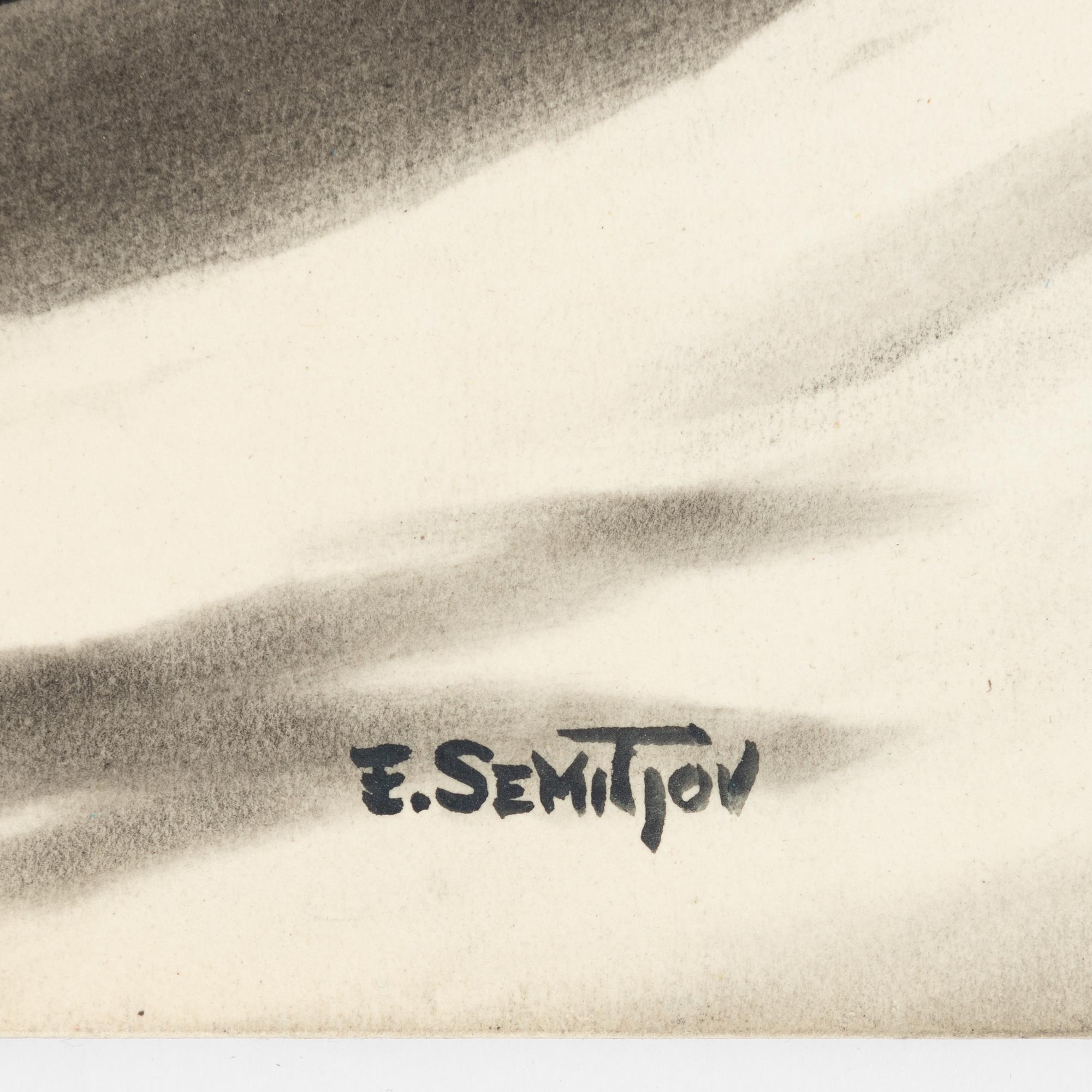 Eugen Semitjov, Flight Expedition.