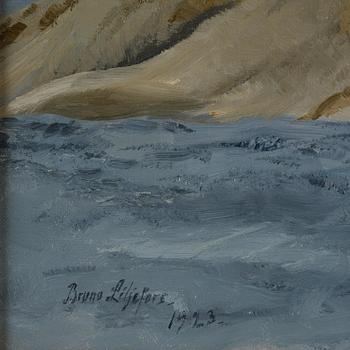 Bruno Liljefors, Stretching eiders.