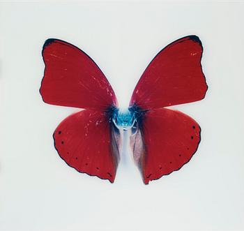 235. Nathalia Edenmont, "Kirin", 2005-2007.