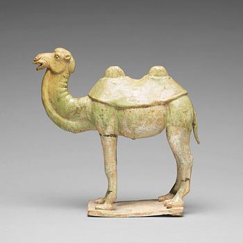 751. A potted green glazed figure of a camel, Tang dynasty, (618-907).