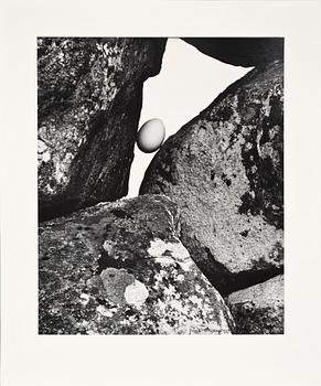 ULF SJÖSTEDET, fotografi, sign o dat 1981.