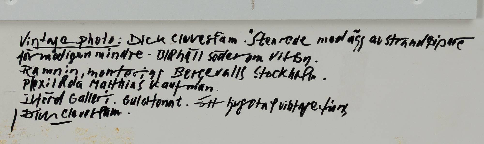 Dick Clevestam, "Stenrede med ägg av Strandpipare".