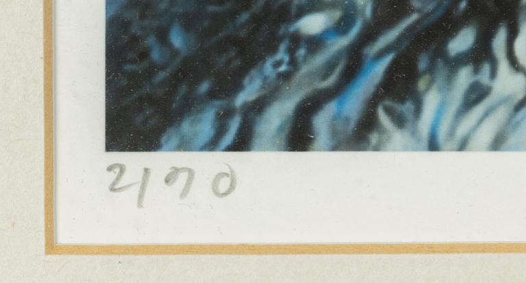 Karin Broos, "Tjärn 3".
