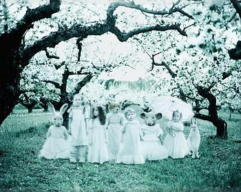 306. Helena Blomqvist, "Orchard Ground", 2011.