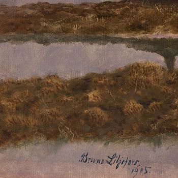 Bruno Liljefors, Geese in wetland.