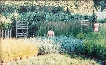 Susanna Hesselberg, Untitled.