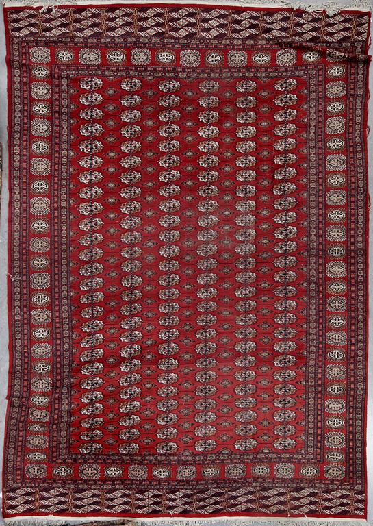 MATTA, Pakistan, ca 427x301 cm.