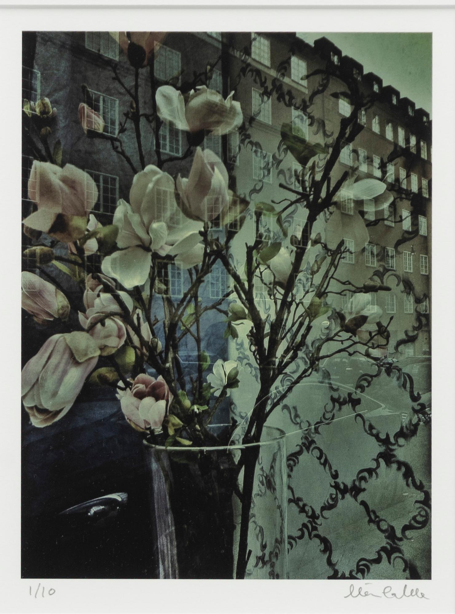 Mia Galde, Untitled.