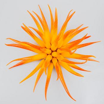 Jonas Rooth, 'Agave'.