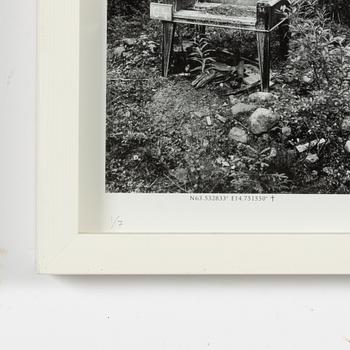 Corinne Ericson,  "Jämtländska älgpass I".