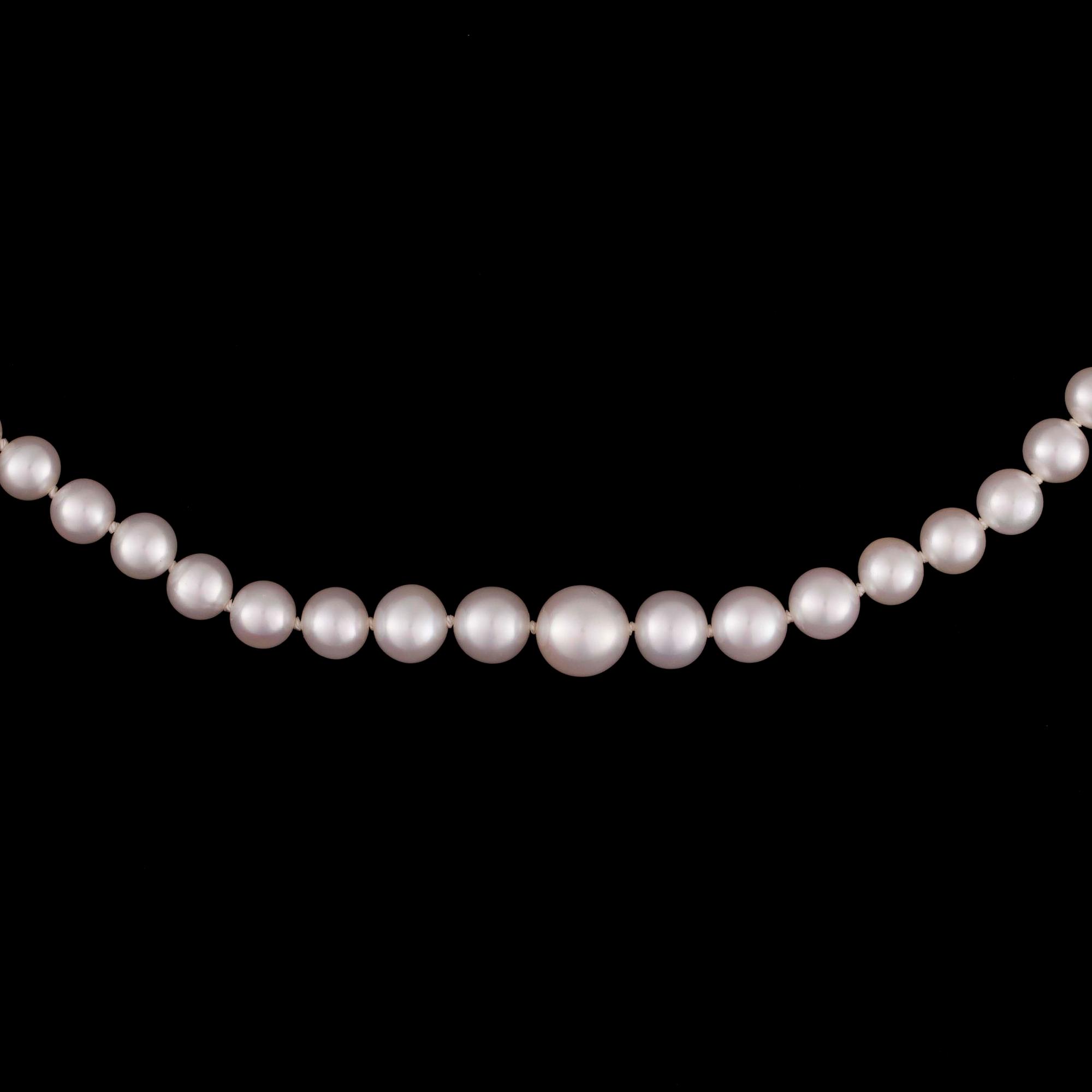 PÄRLCOLLIER, graderade sötvattenspärlor, lås i 14K guld.