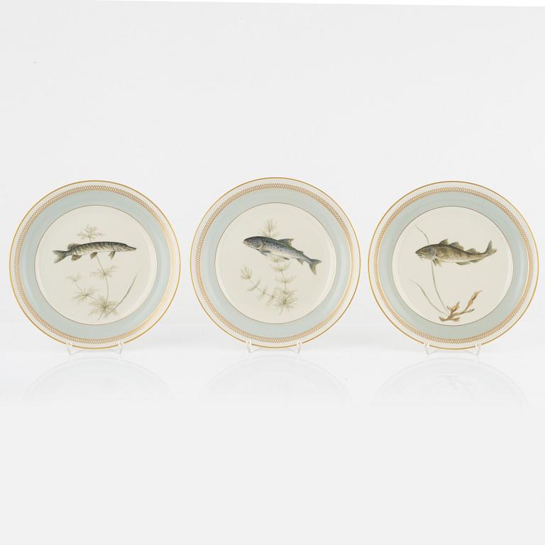 Royal Copenhagen, tallrikar, 11 st, porslin, "Fauna Danica".