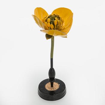 Robert Brendel, a botanical model, R. & R. Brendel. Poland, turn of the 20th century.