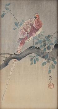 Ohara Koson, 'Copper Pheasant Perching on Branch'.