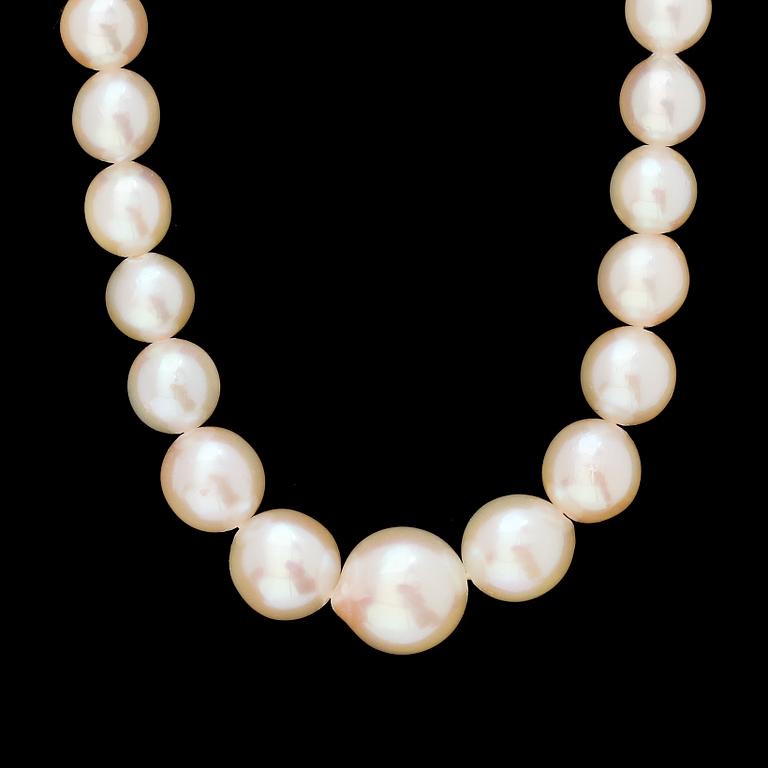 PÄRLCOLLIER, odlade pärlor.
