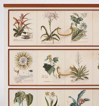 Josef Frank, Florabyrå Linné", jubileumsutgåva, Firma Svenskt Tenn 2007, modell 1050, ed. 31/50.