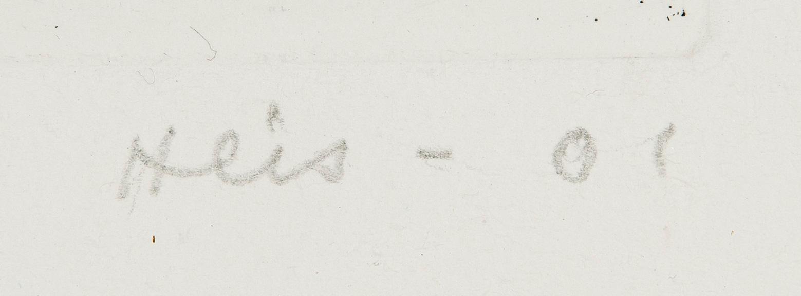 Outi Heiskanen, "Koreilija".