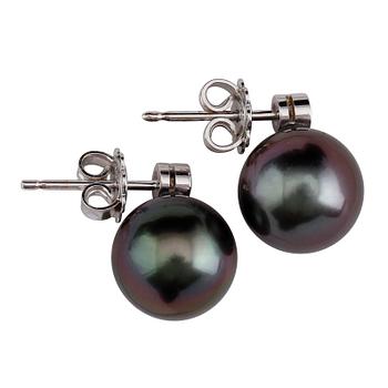ÖRHÄNGEN, 1 par, 18 k vitguld, Tahitipärlor, samt briljantslipade diamanter tot ca 0.17 ct.